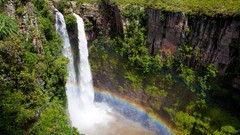 Nature Trees waterfalls rainbows