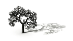 Nature Trees white background