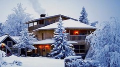 Nature Trees winter cold white ice lights frost Frozen House 