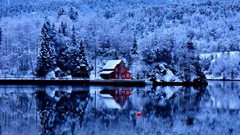 Nature Trees winter Mountains House reflections