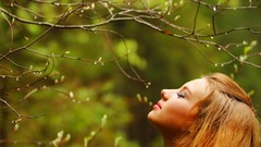 Nature Trees woman blondes