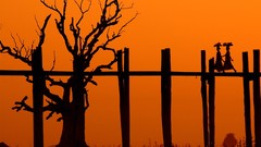 Nature Trees woman orange silhouettes Bridges national 