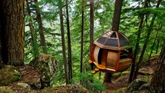 Nature Trees Wood architecture forests interfacelift