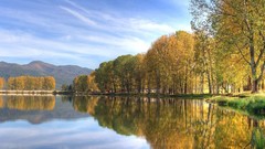 Nature Trees yellow clouds Green lakes
