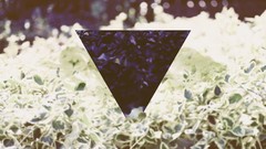 Nature triangles born