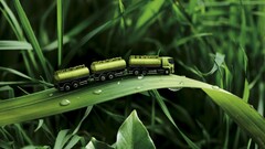 nature trucks leaves truck artwork Toys vehicle Plants