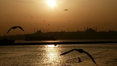 Nature Turkey Istanbul