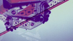 Nature Typography May grunge 2008