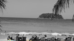 Nature Umbrellas Beaches