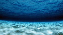 Nature underwater sea water