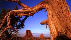 Nature USA Landscapes