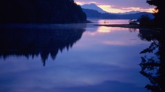 Nature vancouver British Columbia reflections