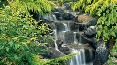 Nature vancouver waterfalls British Columbia