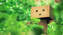 Nature vintage danboard artwork