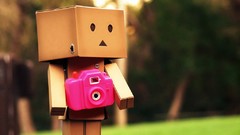 Nature vintage danboard artwork