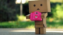 Nature vintage danboard artwork