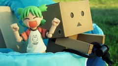 Nature vintage danboard artwork