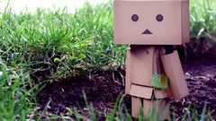 Nature vintage danboard artwork