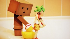Nature vintage danboard artwork
