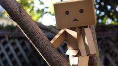 Nature vintage danboard artwork