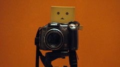 Nature vintage danboard artwork