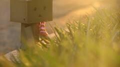 Nature vintage danboard artwork