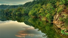 Nature Virginia major