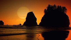 Nature Washington Beaches national park