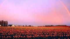 Nature Washington fields rainbows valleys
