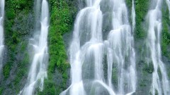 Nature Washington waterfalls forests National