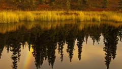 Nature water Alaska reflections golden ponds
