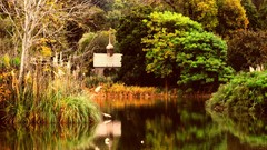 Nature water autumn calm Park churches