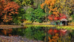 Nature water autumn Japan