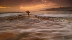 Nature water Beaches shore surfers
