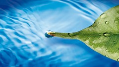 Nature water blue Green 3d leaf water drops floating