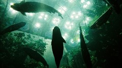 Nature water fish underwater