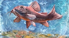 Nature water fish watercolor paintings underwater Catfish 