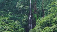 Nature water forests
