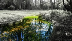 Nature water forests grayscale selective coloring