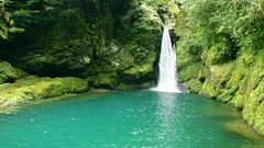 Nature water Green waterfalls