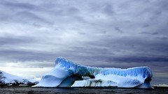 Nature water ice Antarctica icebergs waterscapes