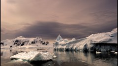 Nature water ice Plants Antarctica icebergs waterscapes