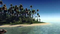 Nature water Islands palm trees