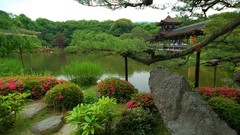 Nature water Japan Garden