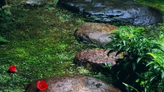 Nature water Japan rocks