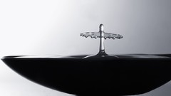 Nature water light monochrome wonder