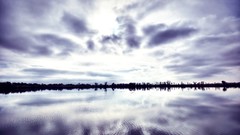 Nature water mirrors skyscapes