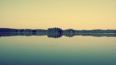 Nature water pine trees