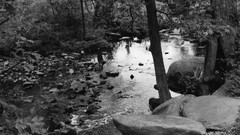 nature water river monochrome