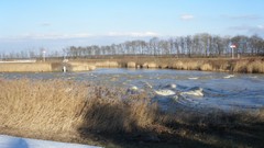Nature water rivers flooded